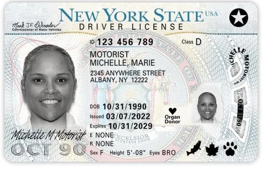 Obtain Original Fake NY DL